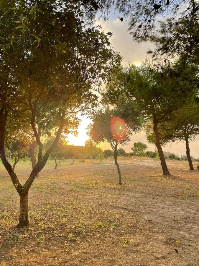Agriturismo Tenuta Pozzello Torre dell'Orso Bagian luar foto